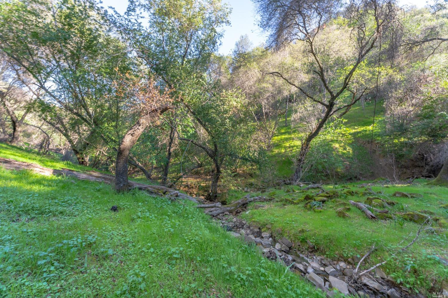 1121 Steele Canyon Road Napa, CA 94558 - Photo 19 of 35