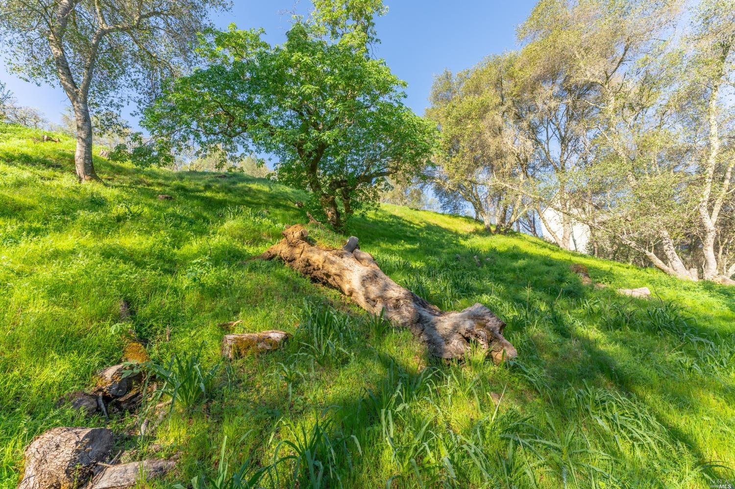 1121 Steele Canyon Road Napa, CA 94558 - Photo 20 of 35