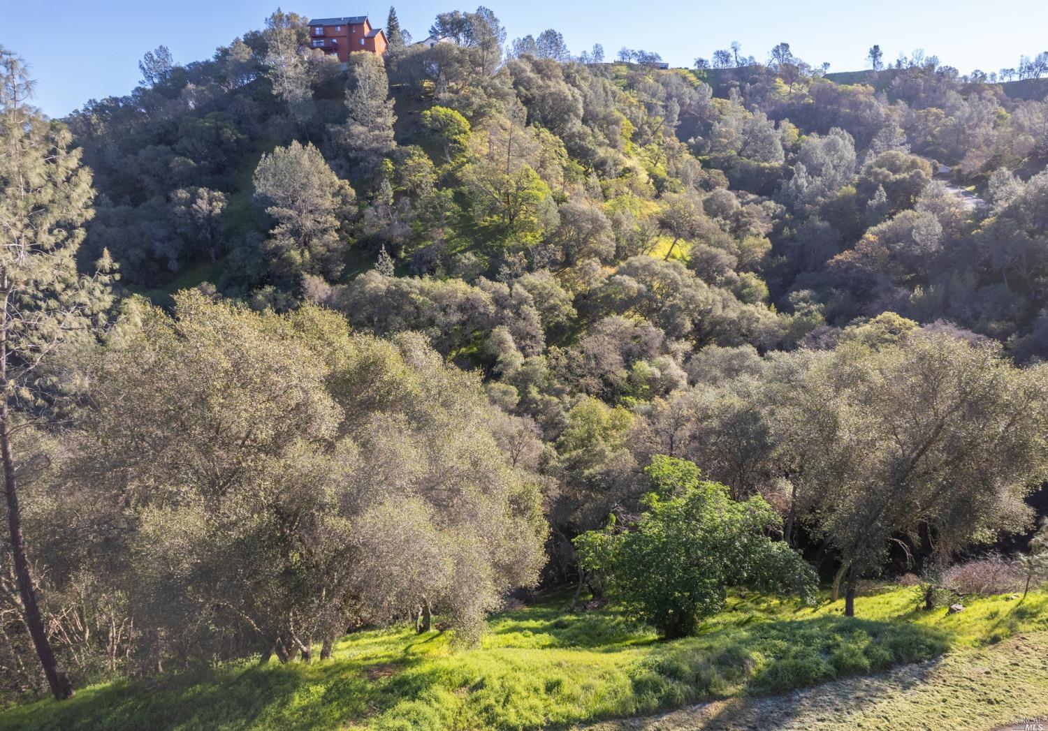 1121 Steele Canyon Road Napa, CA 94558 - Photo 25 of 35