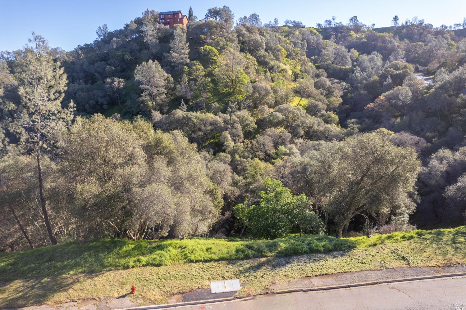 1121 Steele Canyon Road Napa, CA 94558 - Photo 26 of 35