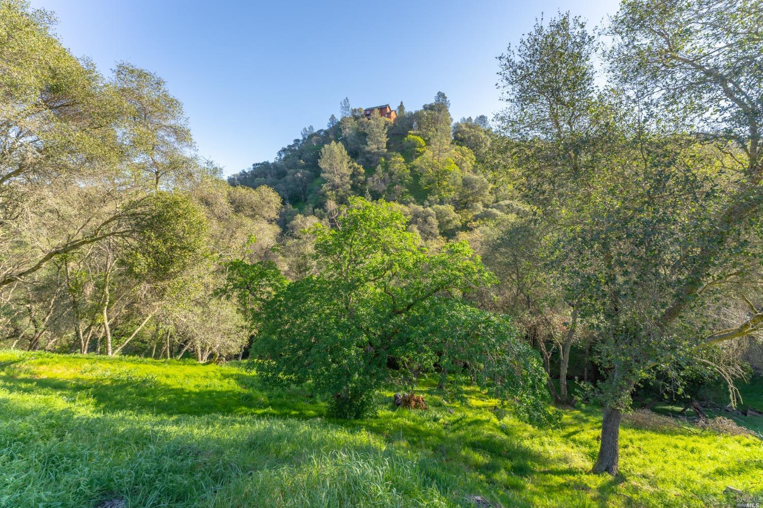 1121 Steele Canyon Road Napa, CA 94558 - Photo 6 of 35