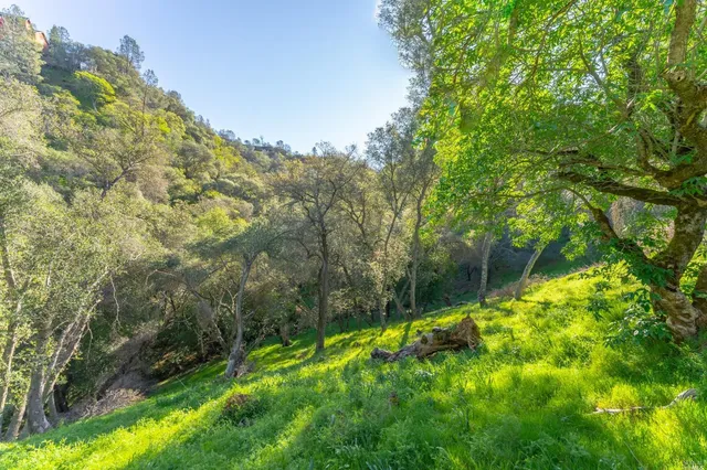 $12,000 | 1121 Steele Canyon Road, Napa, CA 94558