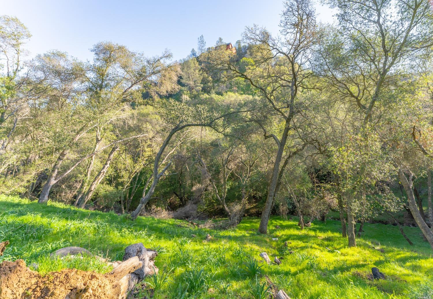 1121 Steele Canyon Road Napa, CA 94558 - Photo 9 of 35