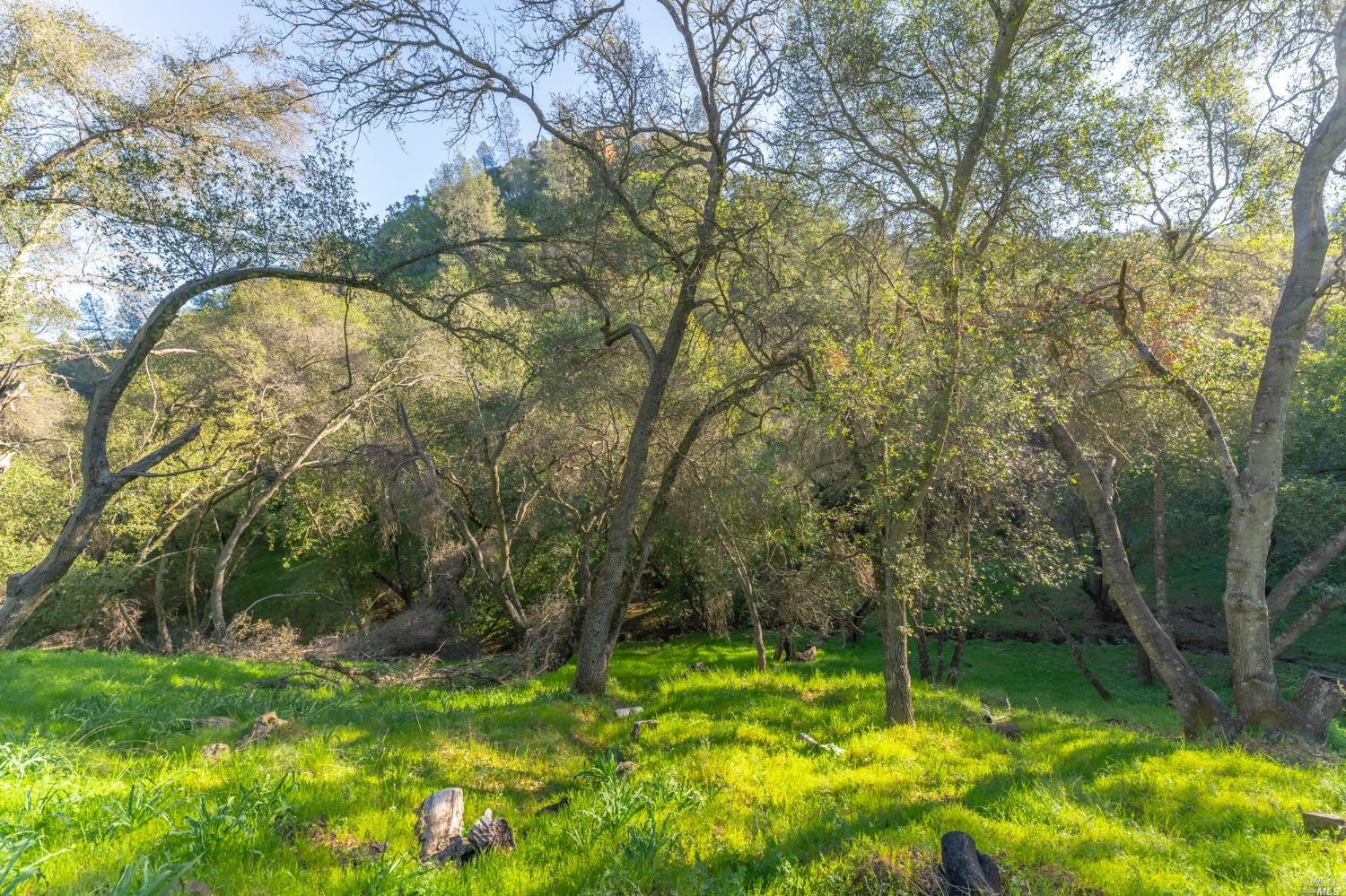 1121 Steele Canyon Road Napa, CA 94558 - Photo 10 of 35