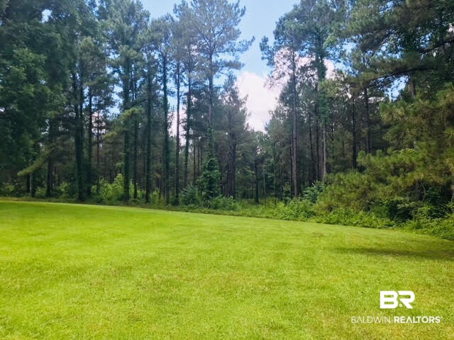 744 Fox Trot Road Grove Hill, AL 36451 - Photo 31 of 46