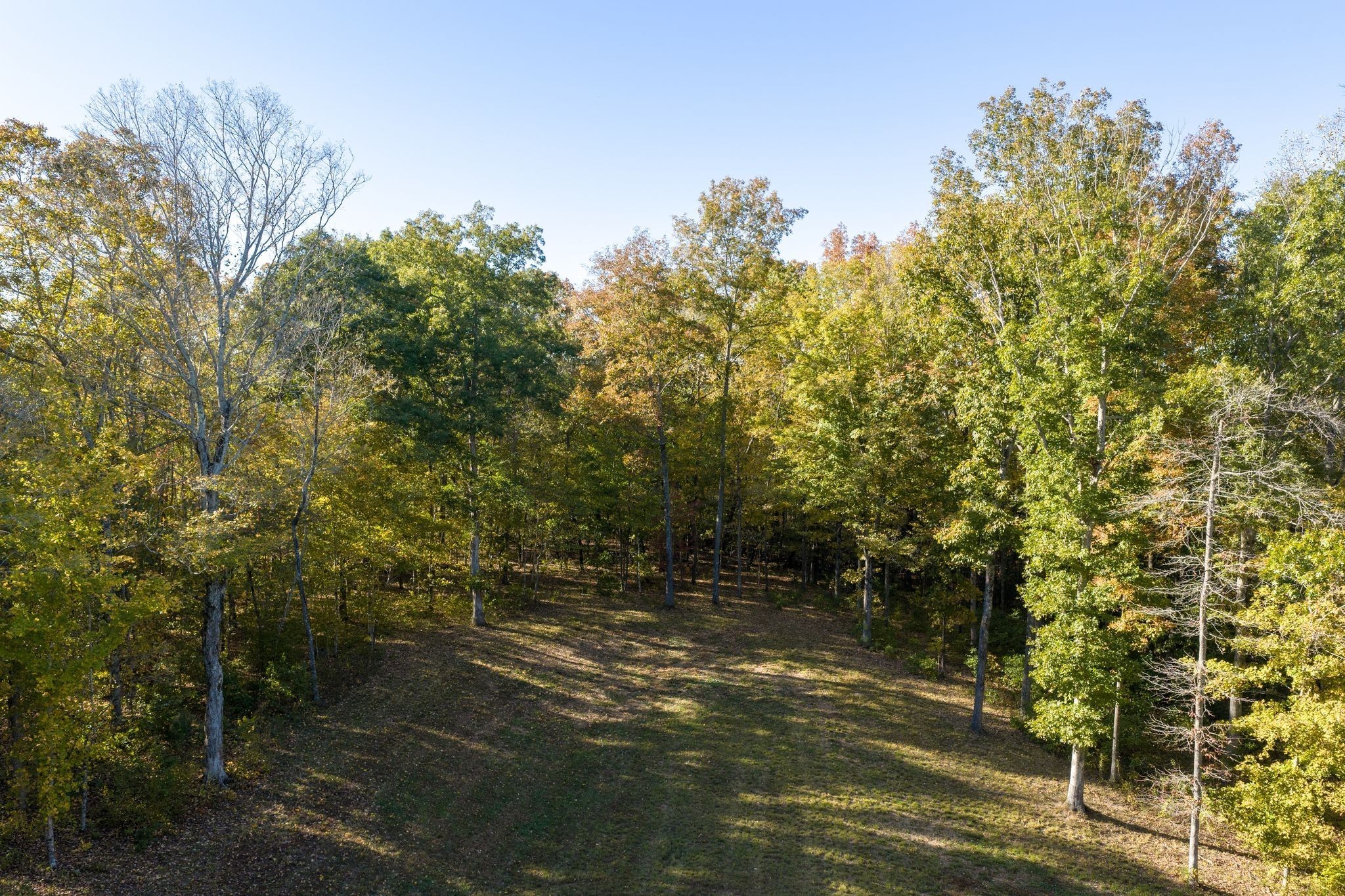 7483 Liberty Road Fairview, TN 37062 - Photo 47 of 52