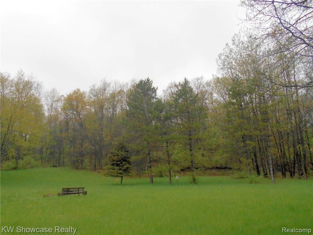 5464 Blood Road Metamora, MI 48455 - Photo 7 of 14