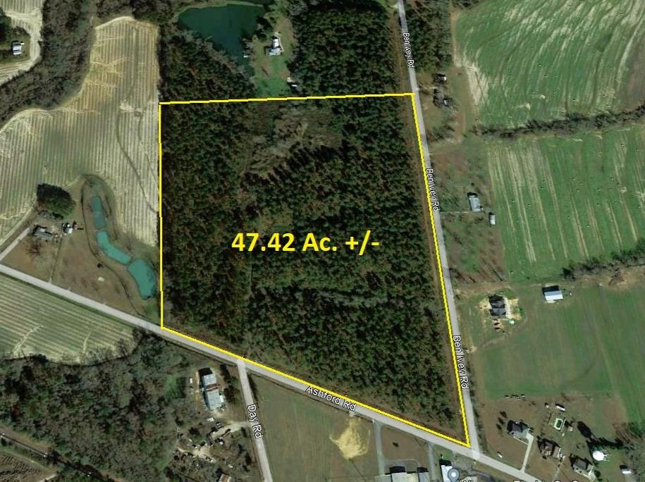225 Ben Ivey Road Webb, AL 36376 - Photo 1 of 6