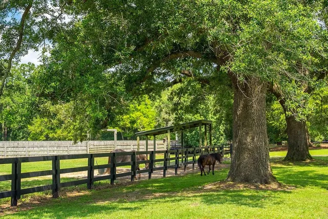 $1,895,000 | 1792 Appleton Road, Allendale, SC 29810