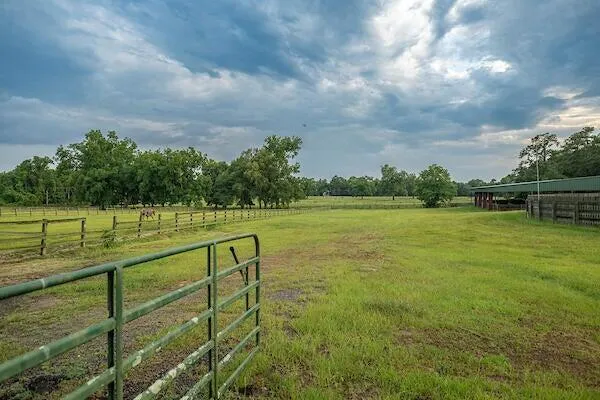 $1,895,000 | 1792 Appleton Road, Allendale, SC 29810