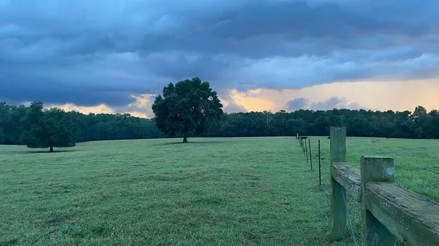 $1,895,000 | 1792 Appleton Road, Allendale, SC 29810