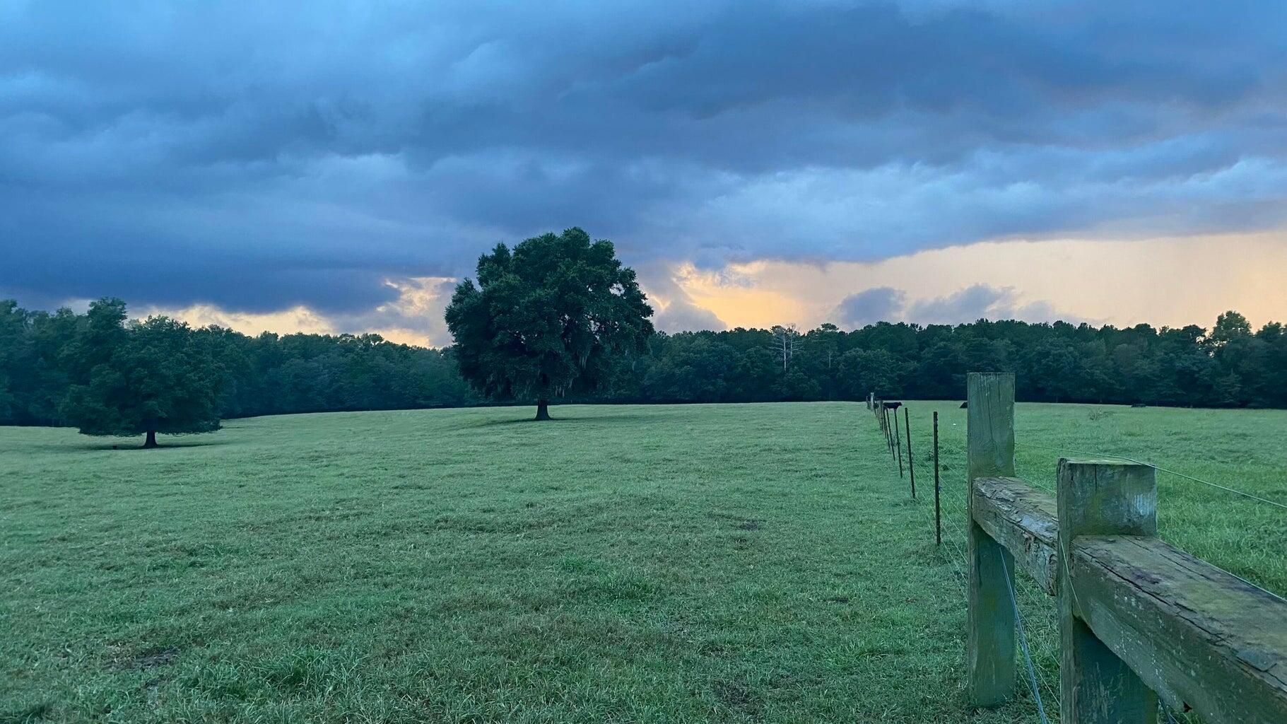 1792 Appleton Road Allendale, SC 29810 - Photo 61 of 70 Day's End at Robwood Plantation