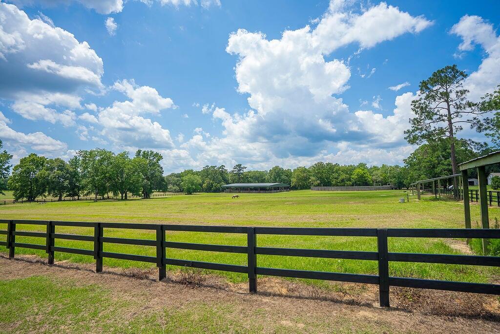 1792 Appleton Road Allendale, SC 29810 - Photo 63 of 70 Fenced Pasture