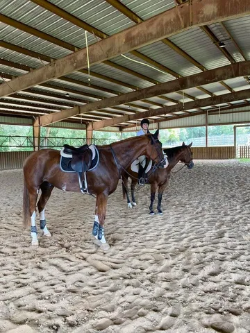 $1,895,000 | 1792 Appleton Road, Allendale, SC 29810