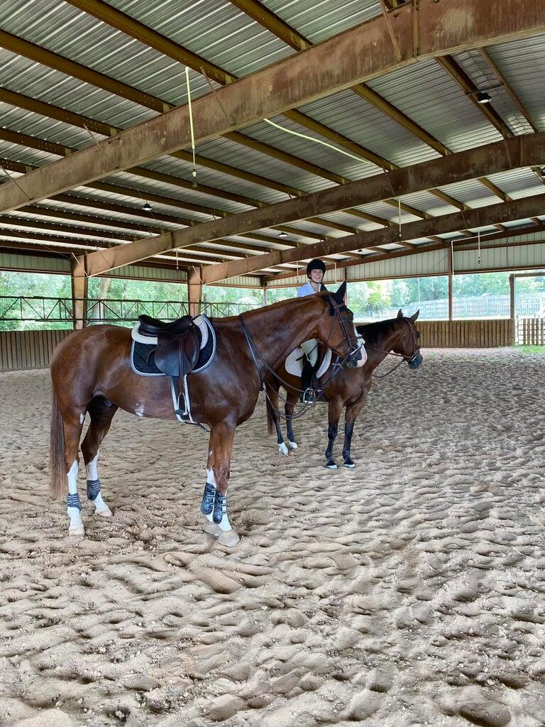 1792 Appleton Road Allendale, SC 29810 - Photo 65 of 70 Getting Ready to Work