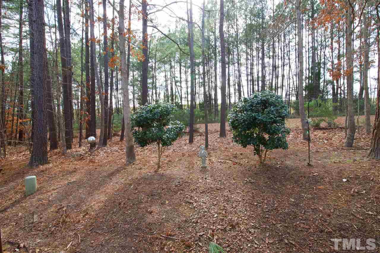 10365 Dapping Drive Raleigh, NC 27614 - Photo 25 of 30