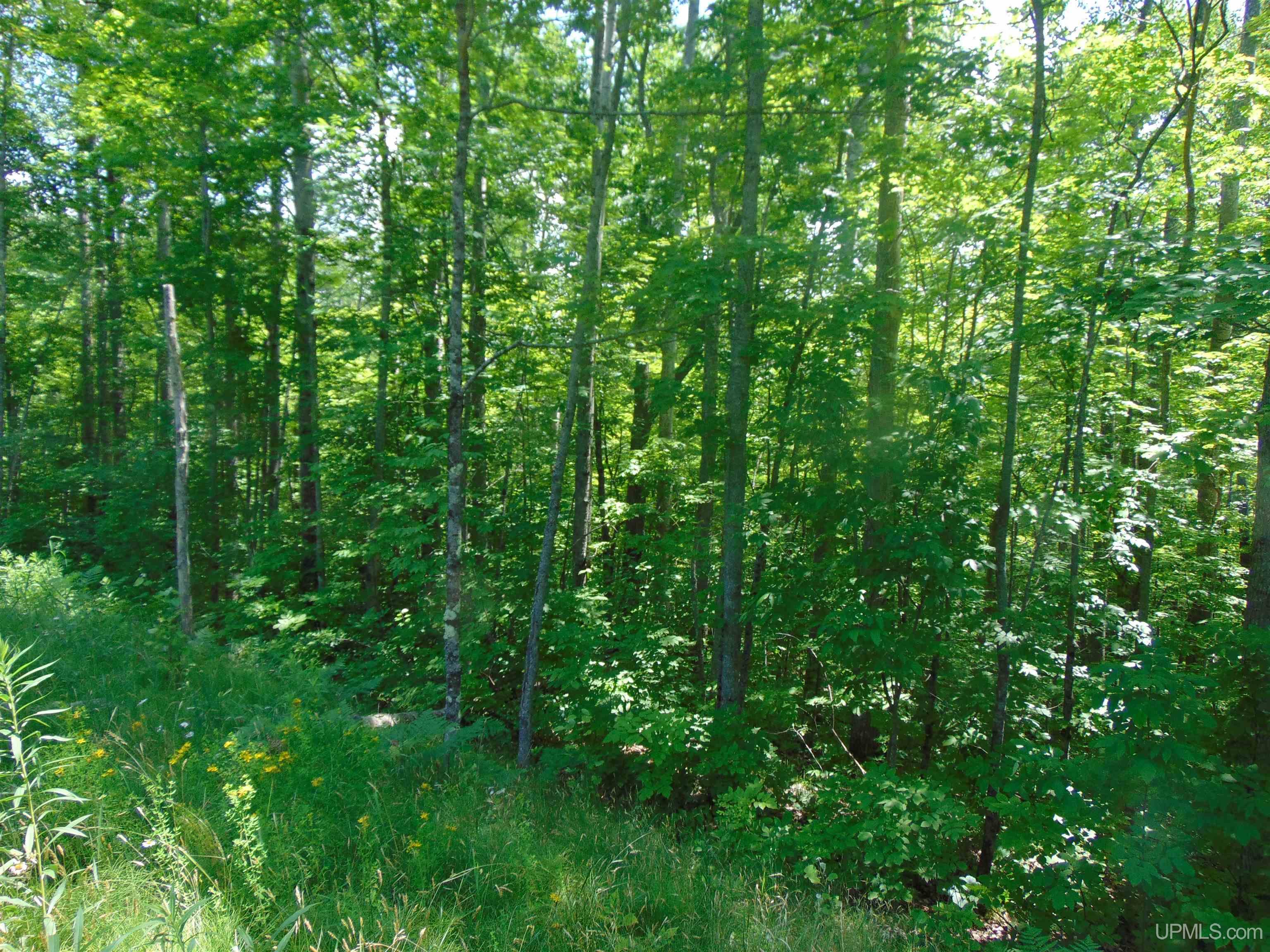 24954 Victoria Dam Road Rockland, MI 49960 - Photo 67 of 78