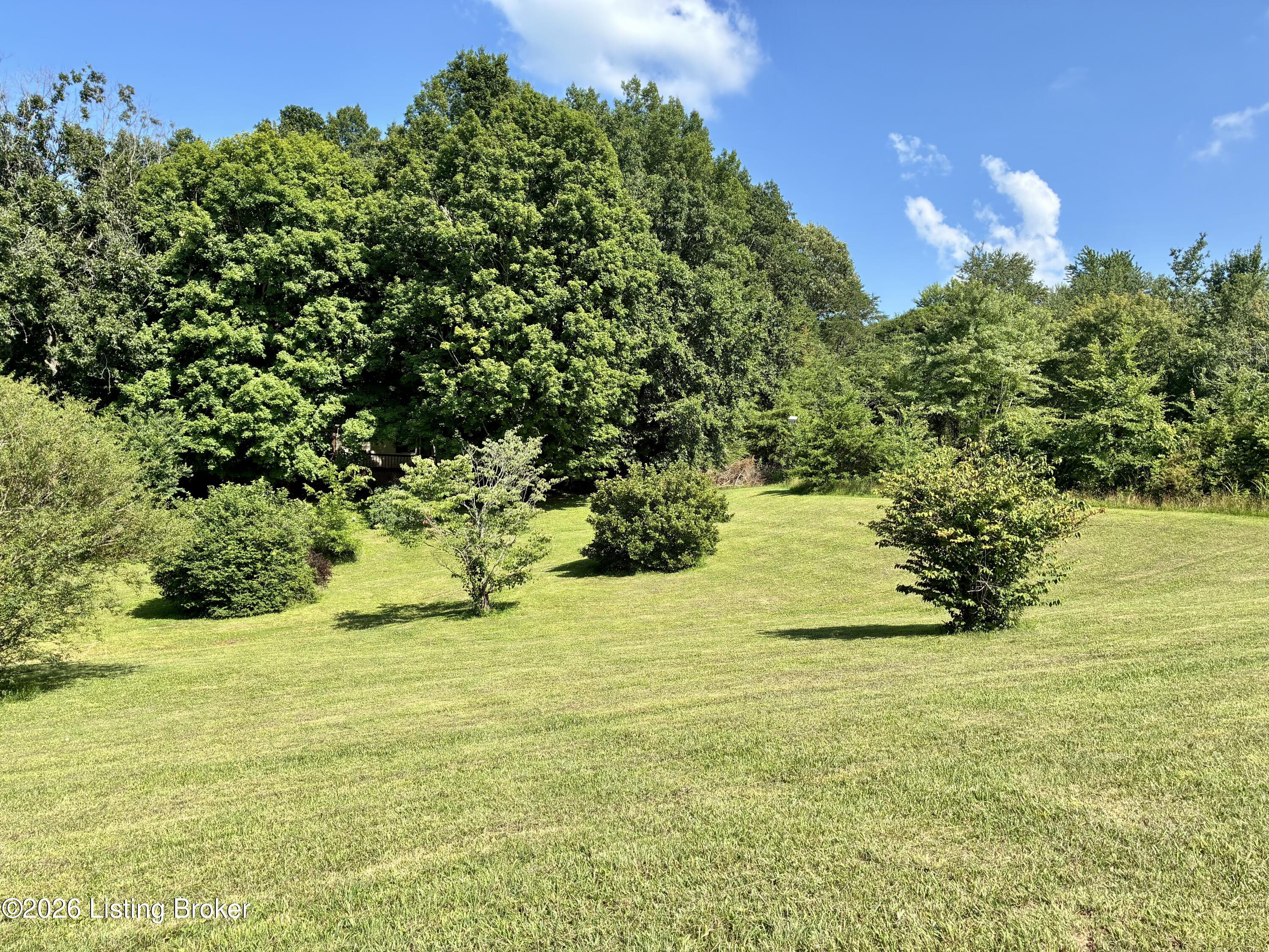 8969 Peonia Road Clarkson, KY 42726 - Photo 18 of 42 IMG_0079