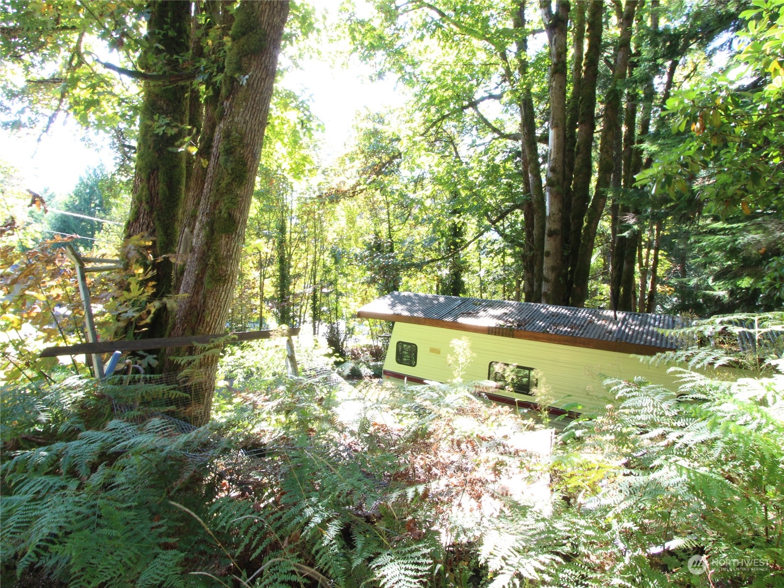 6426 Santa Fe Trail Maple Falls, WA 98266 - Photo 10 of 15 a view of swimming pool with umbrella
