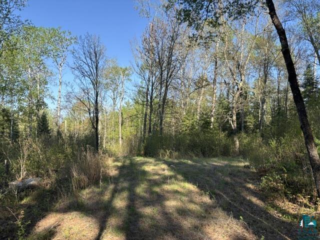3506 Hanson Lk Road Ely, MN 55731 - Photo 23 of 26