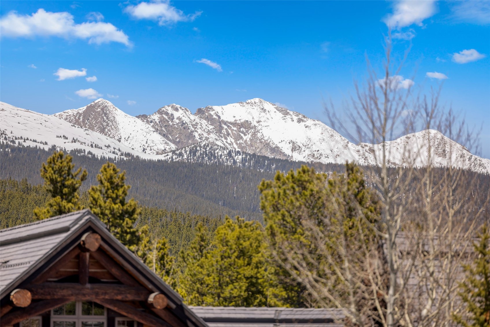 317 Timbertrail Road Breckenridge, CO 80424 - Photo 11 of 50 a view of a yard in a house