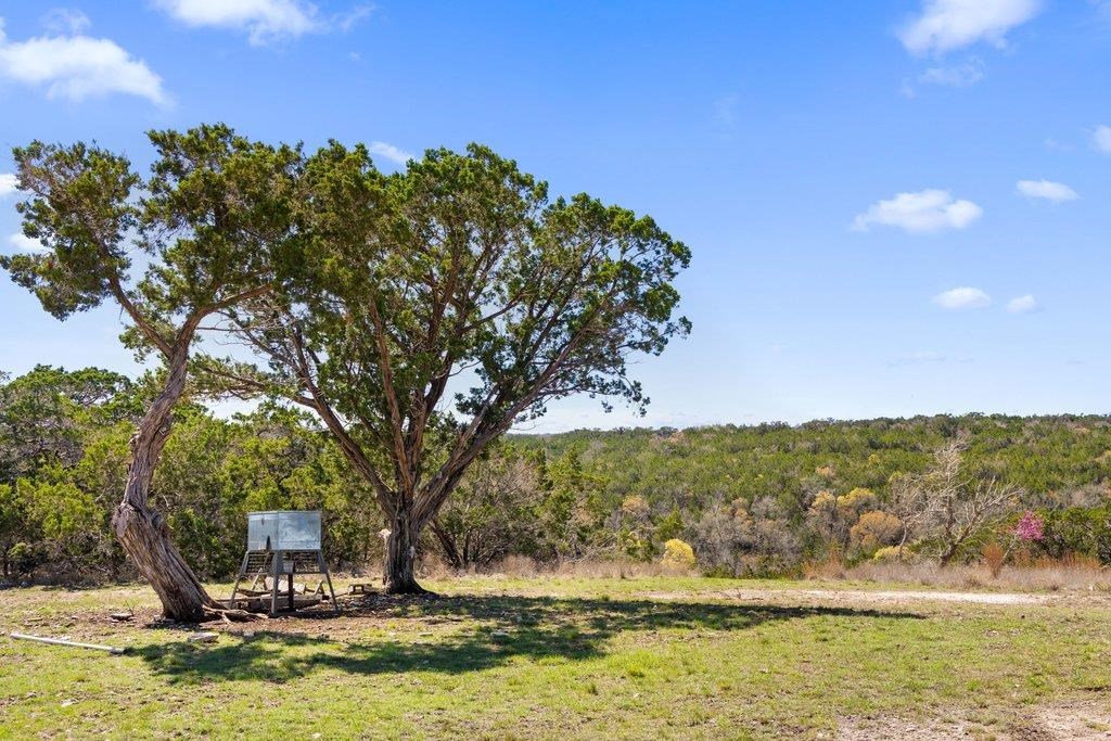 582 Delaware Creek Road Boerne, TX 78006 - Photo 8 of 31