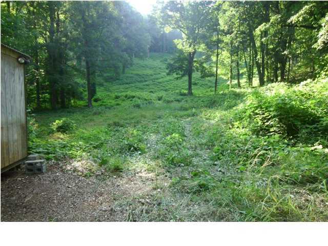 3901 Rd Signal Mountain, TN 37377 - Photo 3 of 8 Additional Photo