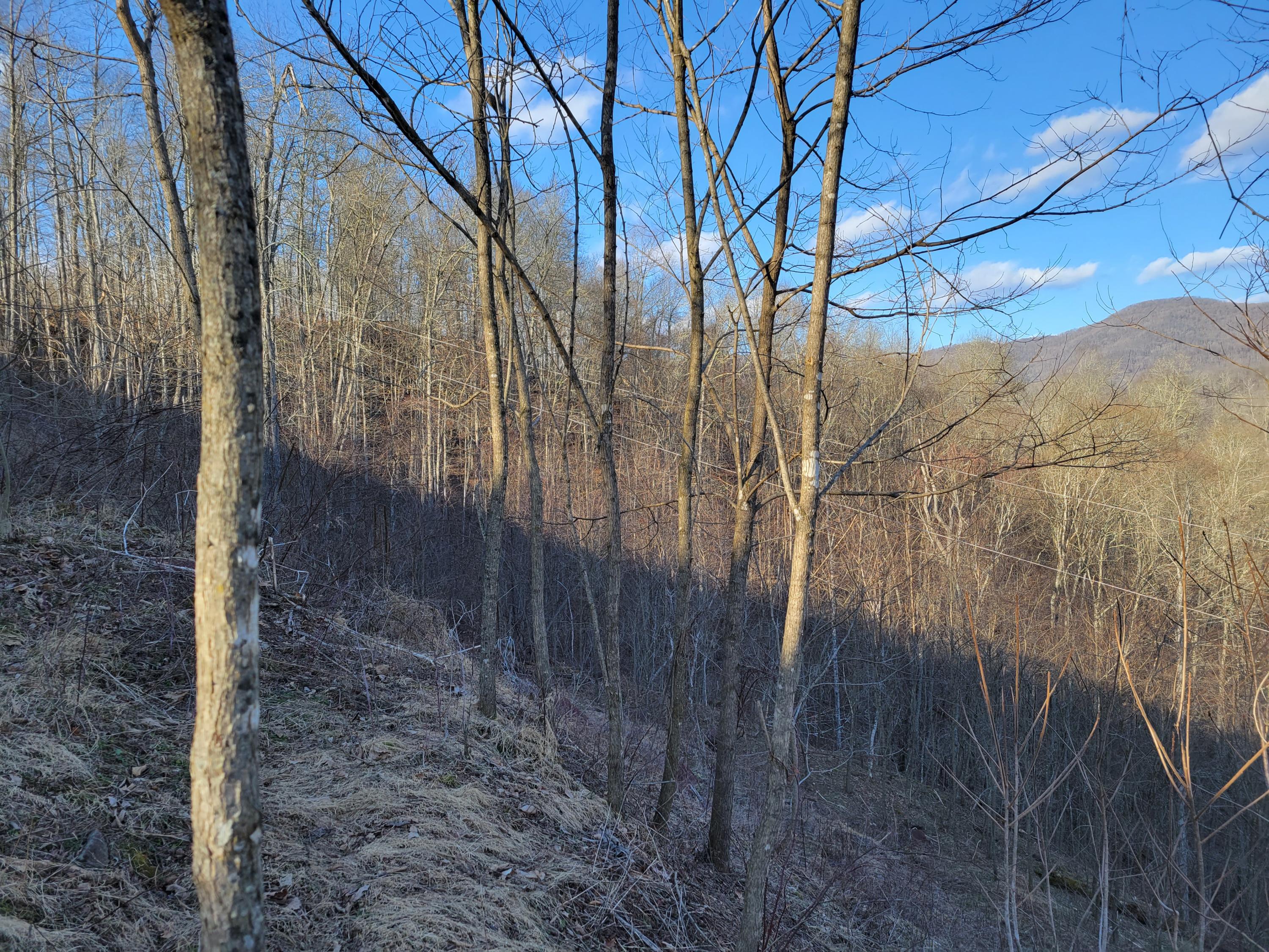 2419 Robins Fork Road Renick, WV 24966 - Photo 31 of 54 Gallery Image 31