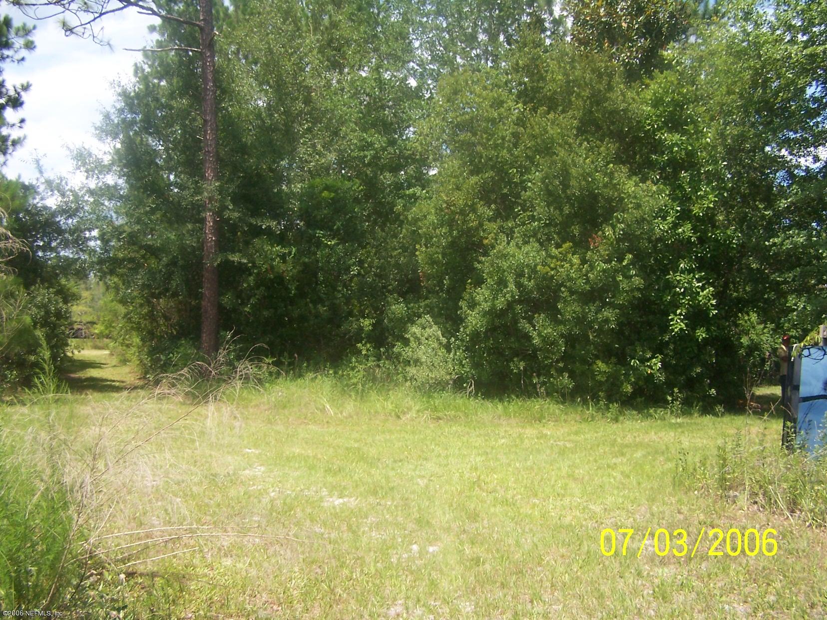 1672 Brangus Road Middleburg, FL 32068 - Photo 2 of 3 back yard