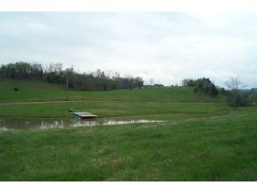 0 Long Road Whitesburg, TN 37891 - Photo 2 of 4 Photo 2