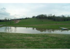 0 Long Road Whitesburg, TN 37891 - Photo 3 of 4 Photo 3