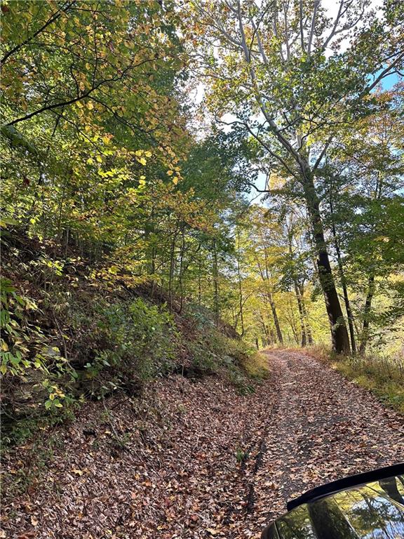 200 Shad Hollow Road Monaca, PA 15061 - Photo 3 of 34 drive