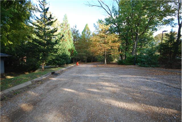 125 Cheek Road Nashville, TN 37205 - Photo 4 of 6 All this parking drive way is part of the back yard. The trees to the right are also on the property. It is Truely a beautiful lot that backs up to Cheekwood.