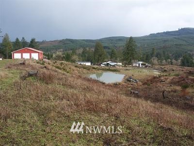 149 Hendrickson Road Vader, WA 98593 - Photo 1 of 1 Gallery Image 1