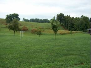 1793 Shipley Ferry Road Kingsport, TN 37663 - Photo 7 of 9 Photo 7