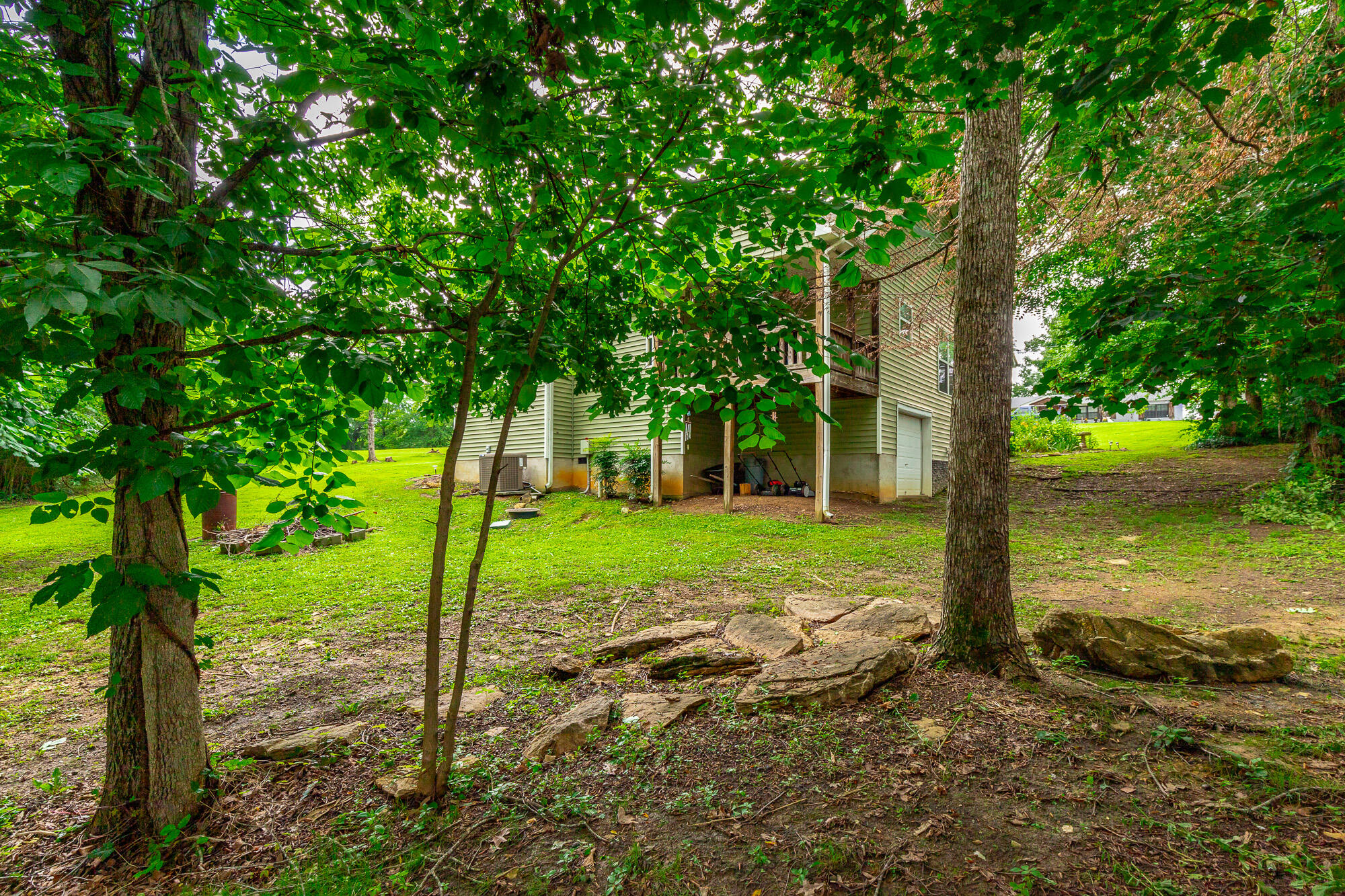 901 Haggard Road Ringgold, GA 30736 - Photo 45 of 55 Back Yard