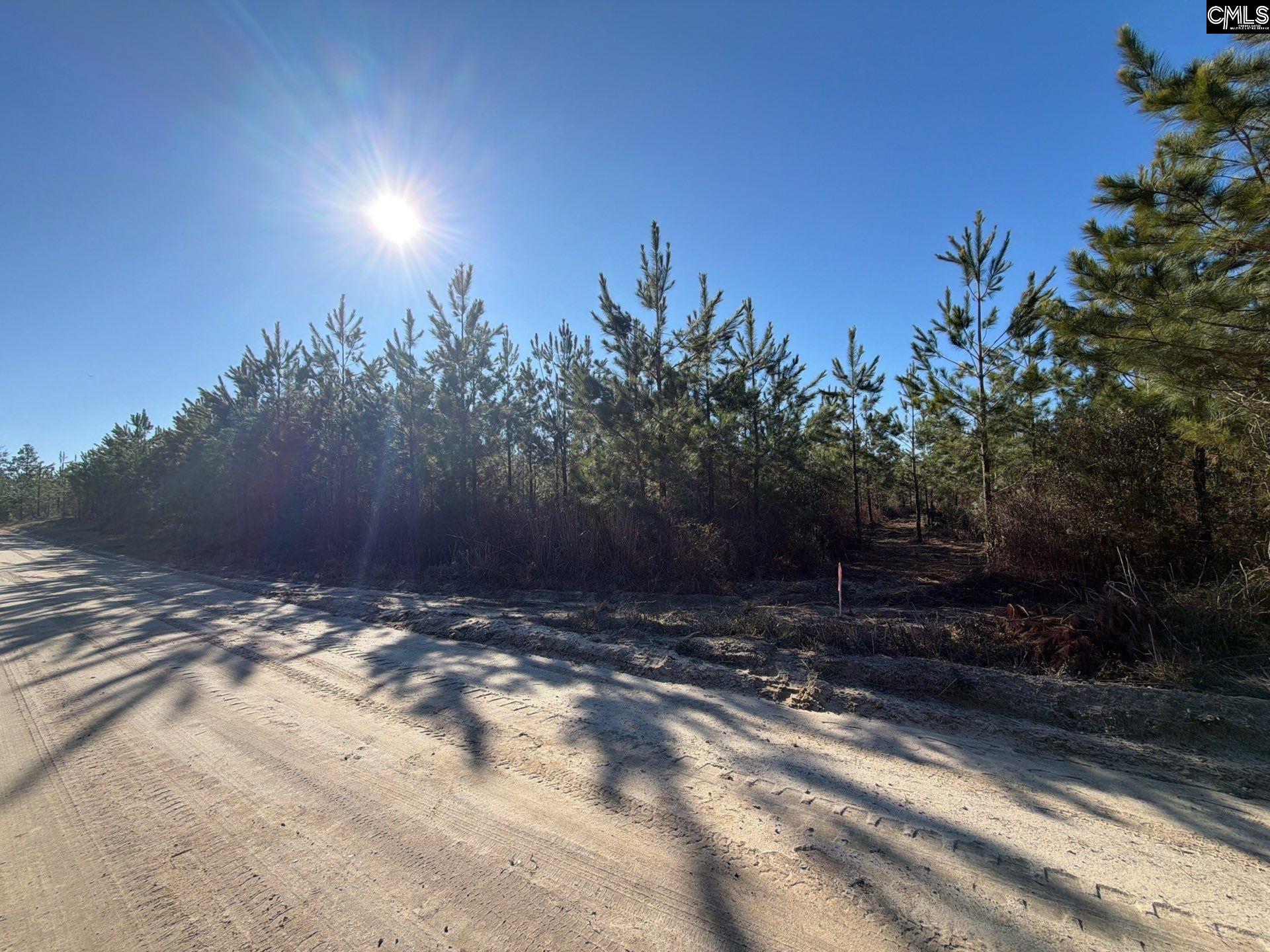 8 Brunson Teal Road, Unit BFF II 8 Patrick, SC 29584 - Photo 24 of 25