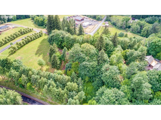 0 Raptor Ridge Drive Woodland, WA 98674 - Photo 11 of 31 Gallery Image 11