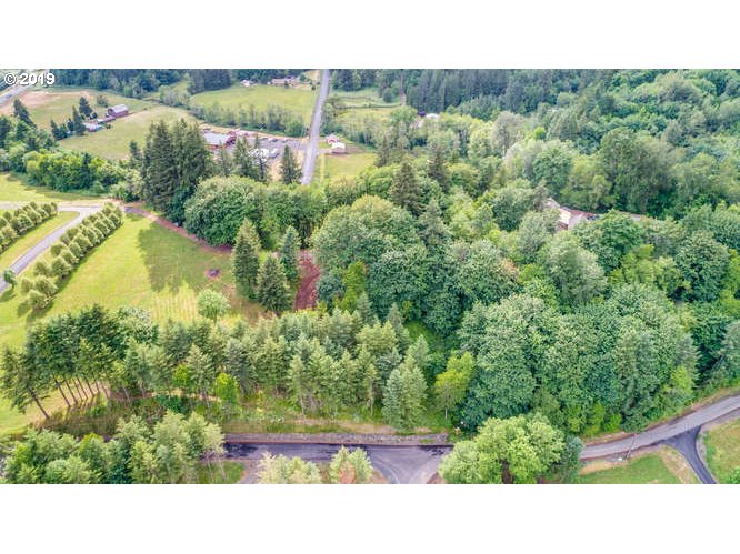 0 Raptor Ridge Drive Woodland, WA 98674 - Photo 14 of 31 Gallery Image 14