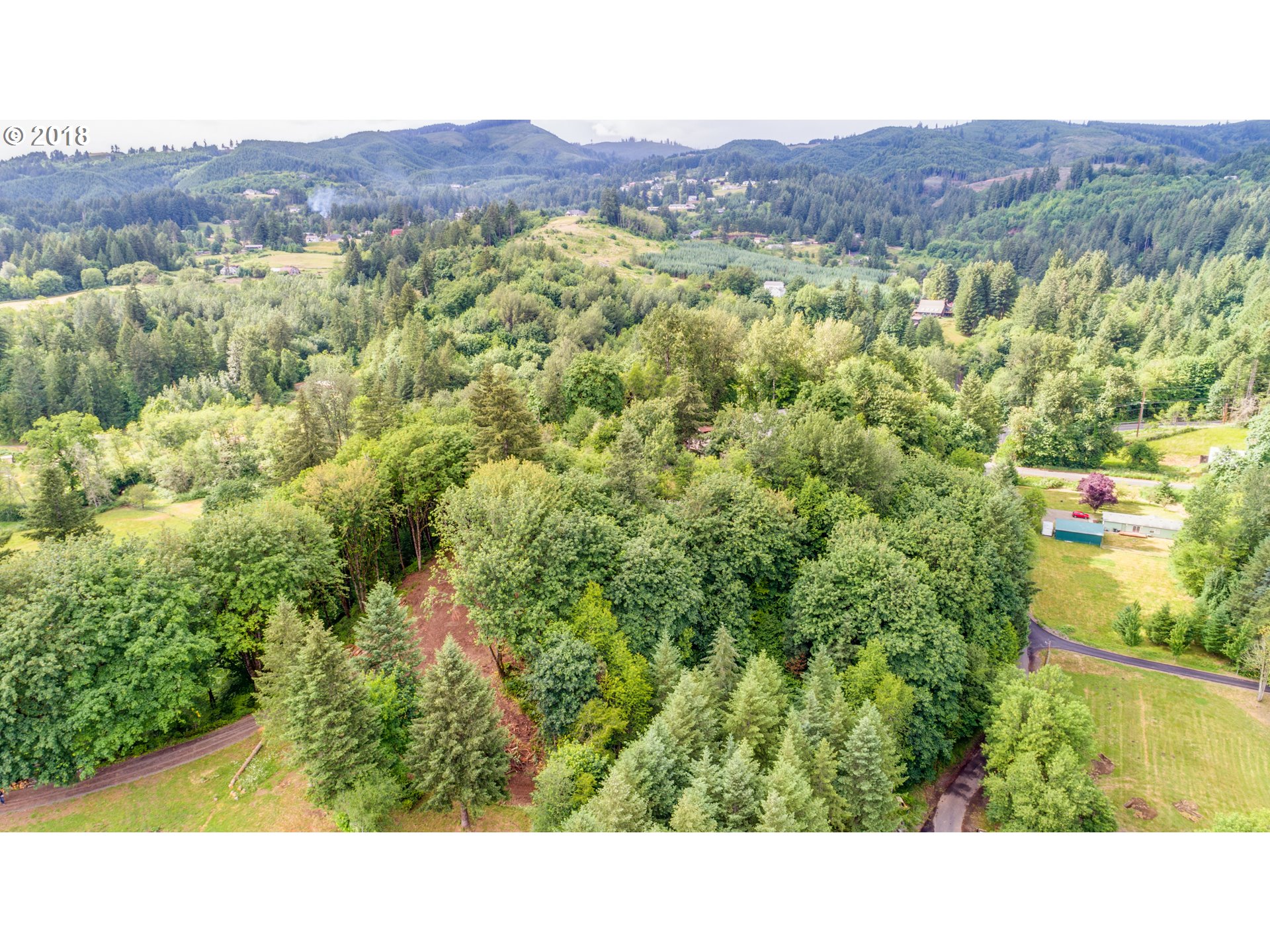 0 Raptor Ridge Drive Woodland, WA 98674 - Photo 15 of 31 Gallery Image 15