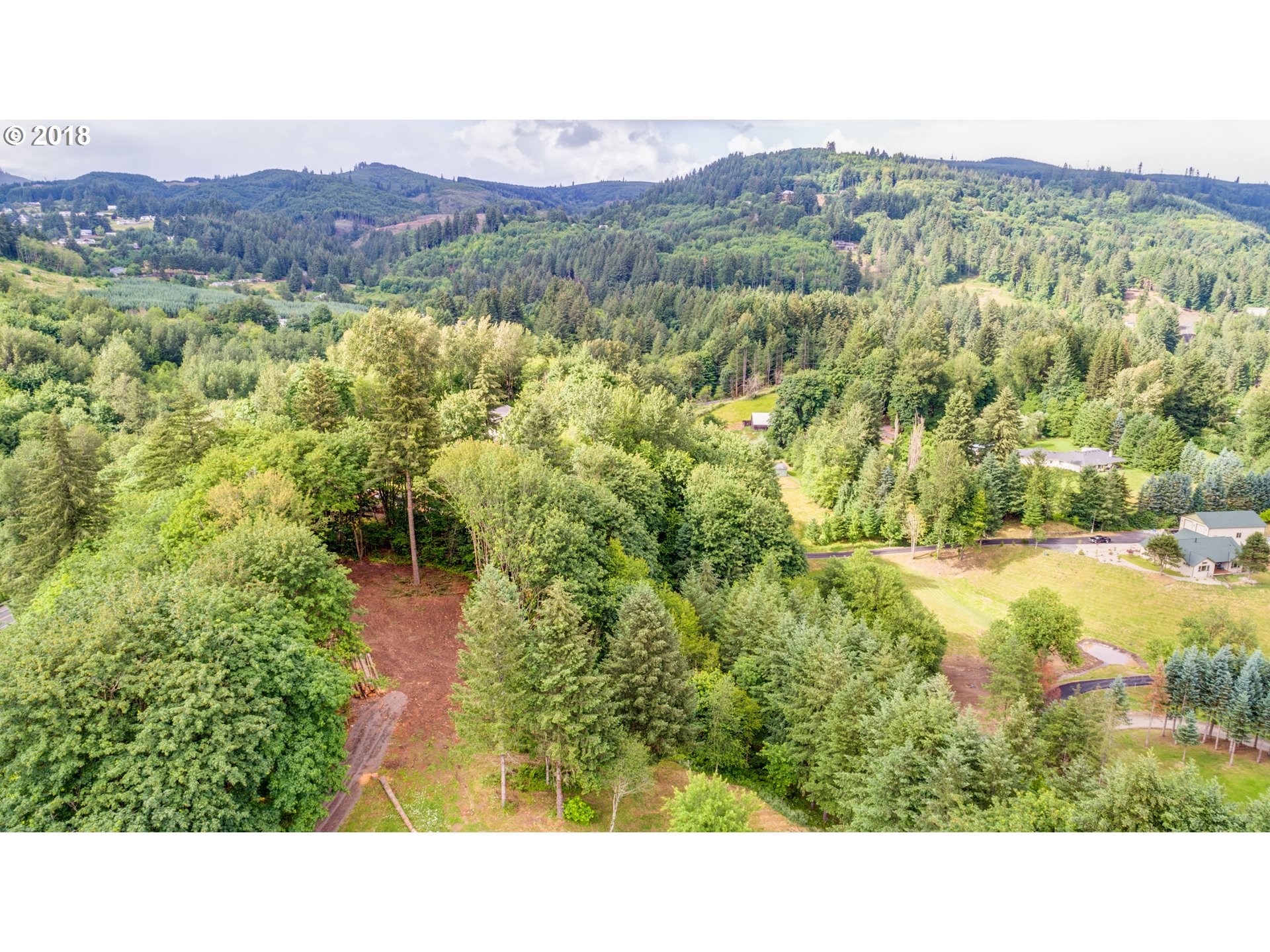 0 Raptor Ridge Drive Woodland, WA 98674 - Photo 16 of 31 Gallery Image 16