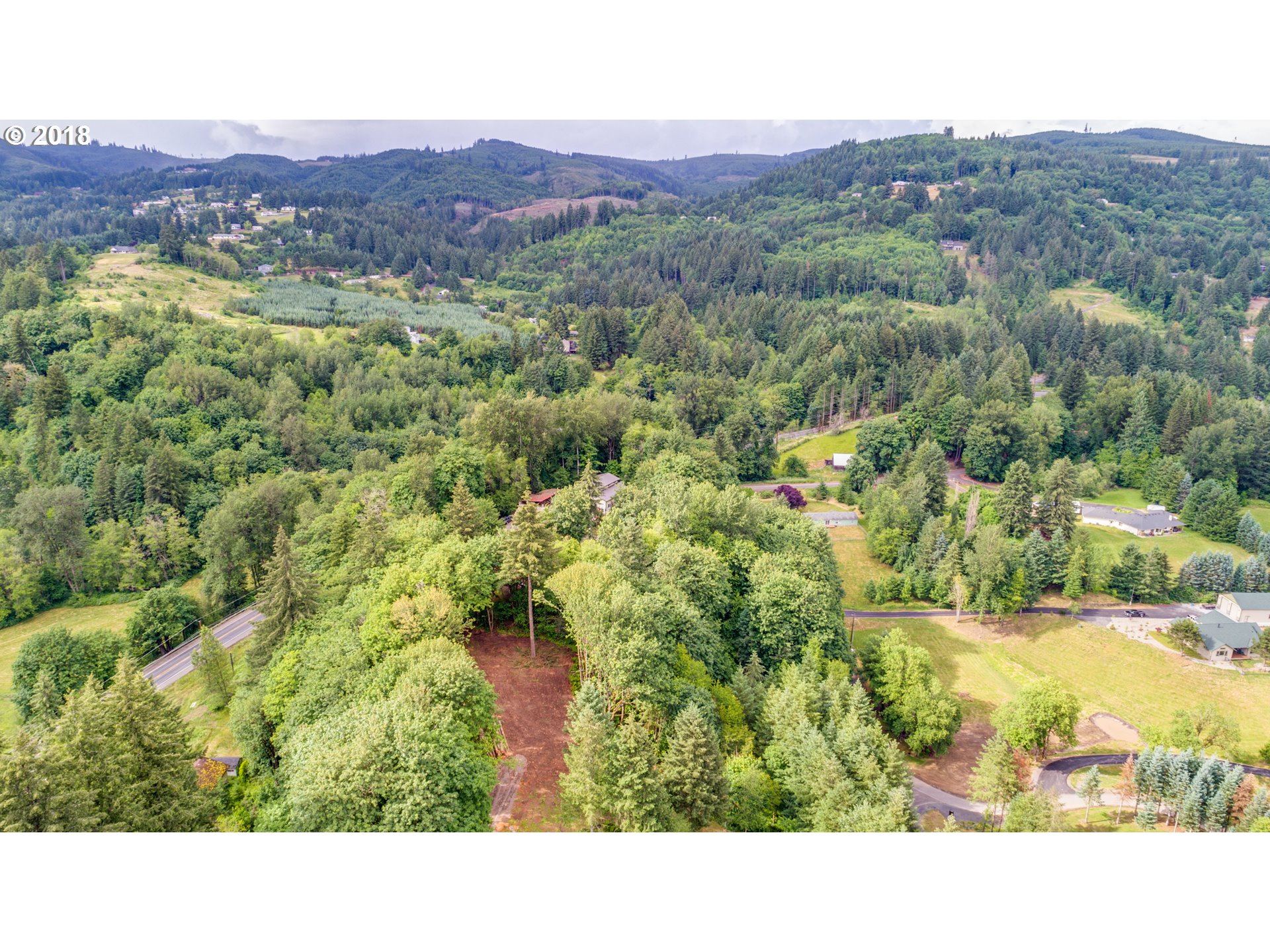 0 Raptor Ridge Drive Woodland, WA 98674 - Photo 17 of 31 Gallery Image 17