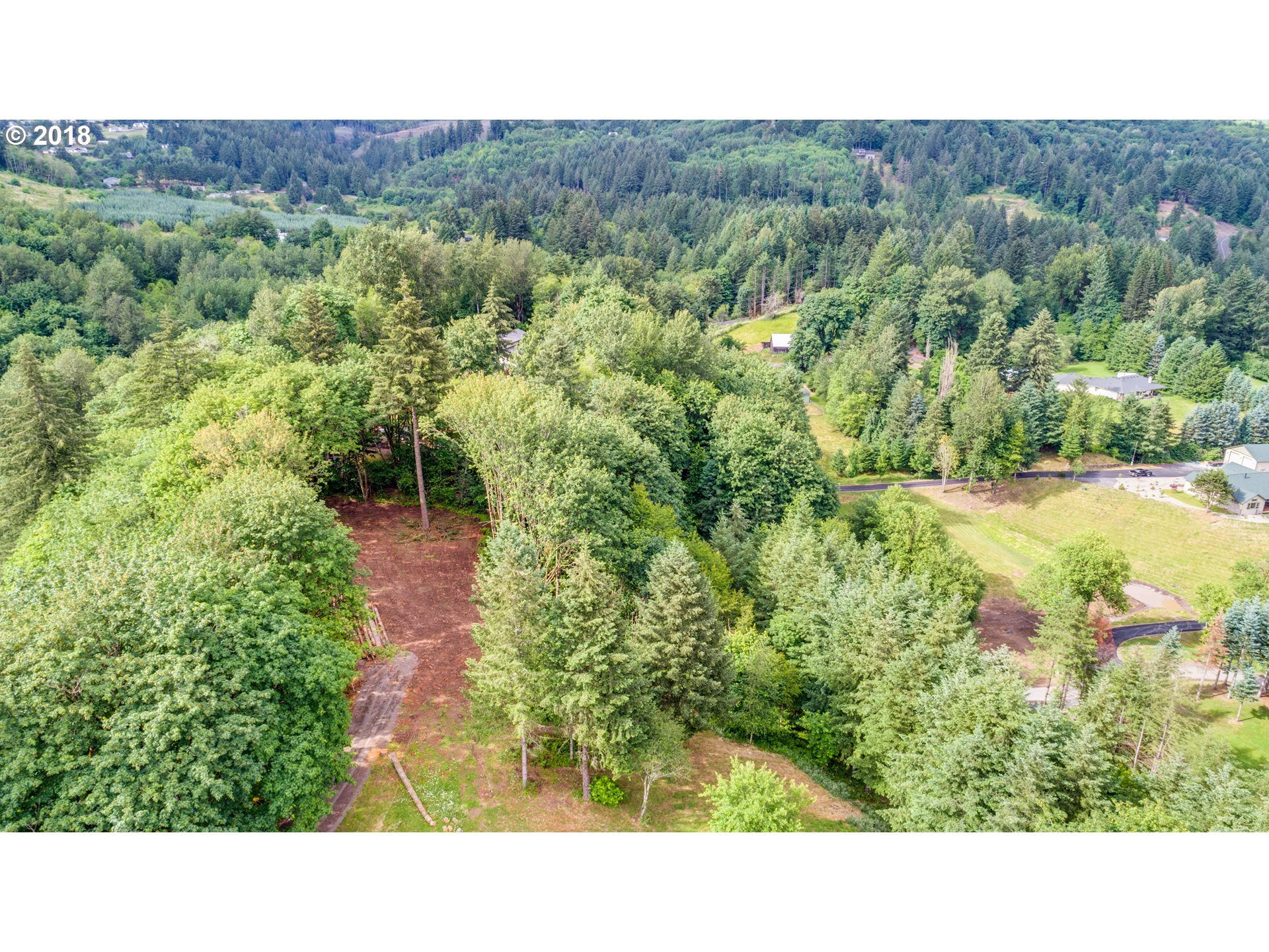 0 Raptor Ridge Drive Woodland, WA 98674 - Photo 18 of 31 Gallery Image 18