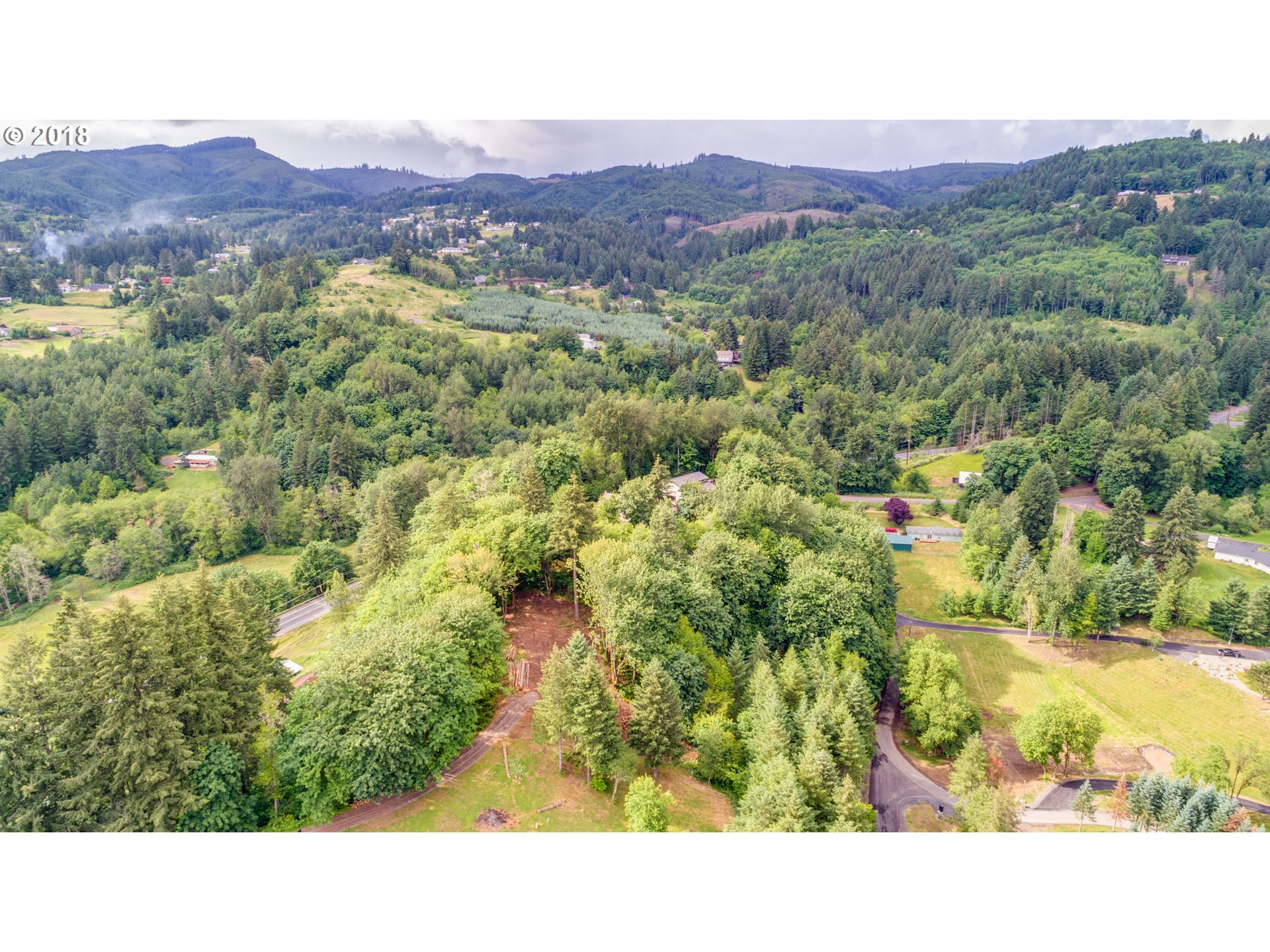 0 Raptor Ridge Drive Woodland, WA 98674 - Photo 19 of 31 Gallery Image 19
