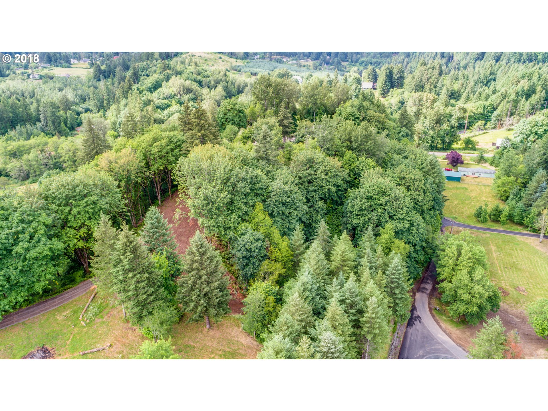 0 Raptor Ridge Drive Woodland, WA 98674 - Photo 3 of 31 Gallery Image 3