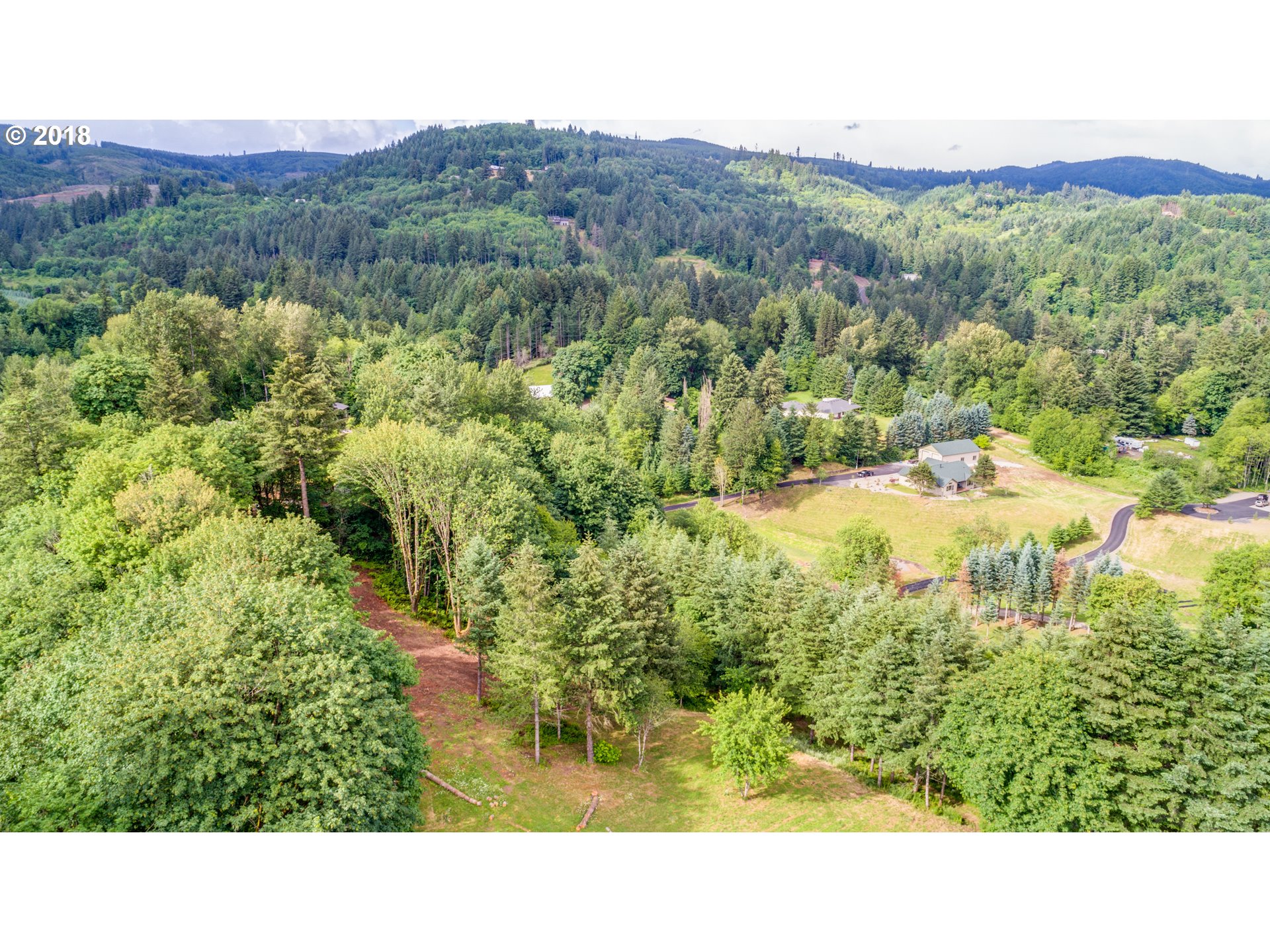 0 Raptor Ridge Drive Woodland, WA 98674 - Photo 4 of 31 Gallery Image 4