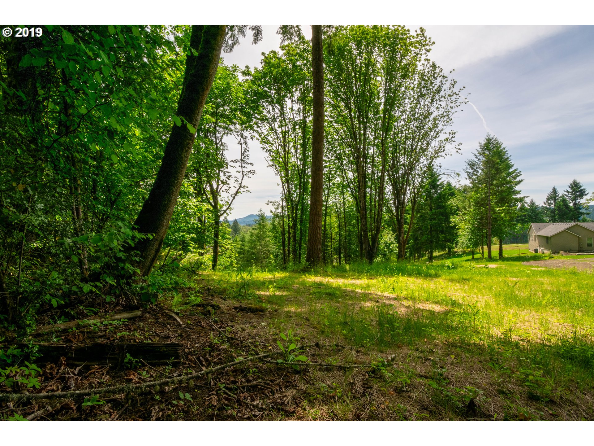 0 Raptor Ridge Drive Woodland, WA 98674 - Photo 5 of 31 Gallery Image 5