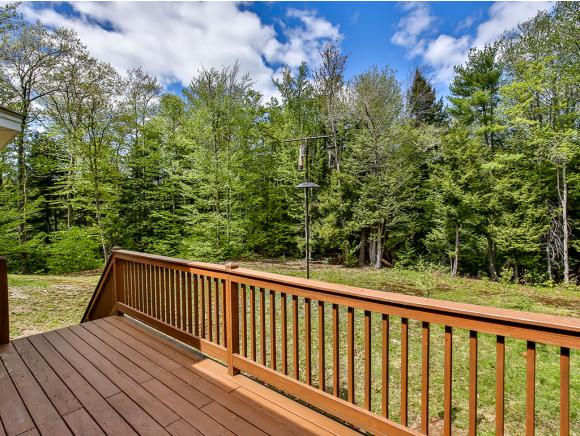49 Perry Road New Ipswich, NH 03071 - Photo 4 of 36