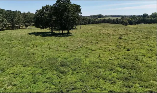 $200,000 | Undisclosed Address, Rosebud, MO 63091