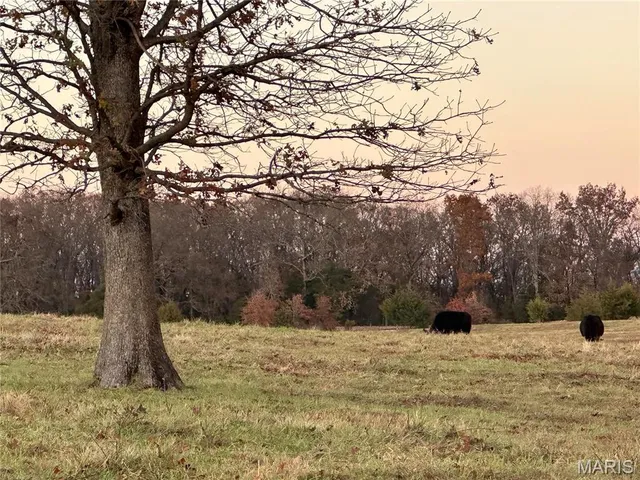 $200,000 | Undisclosed Address, Rosebud, MO 63091